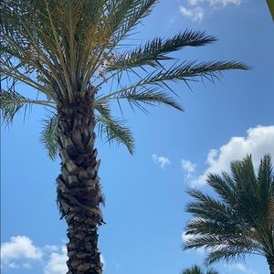 Meet your Posher, Liliana